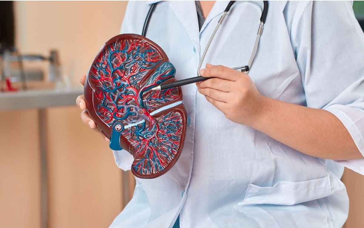 Liver Cirrhosis | లివ‌ర్ సిర్రోసిస్ ఎందుకు వ‌స్తుంది.. ఈ వ్యాధి వ‌స్తే ఏయే ఆహారాల‌ను తీసుకోకూడ‌దు..?