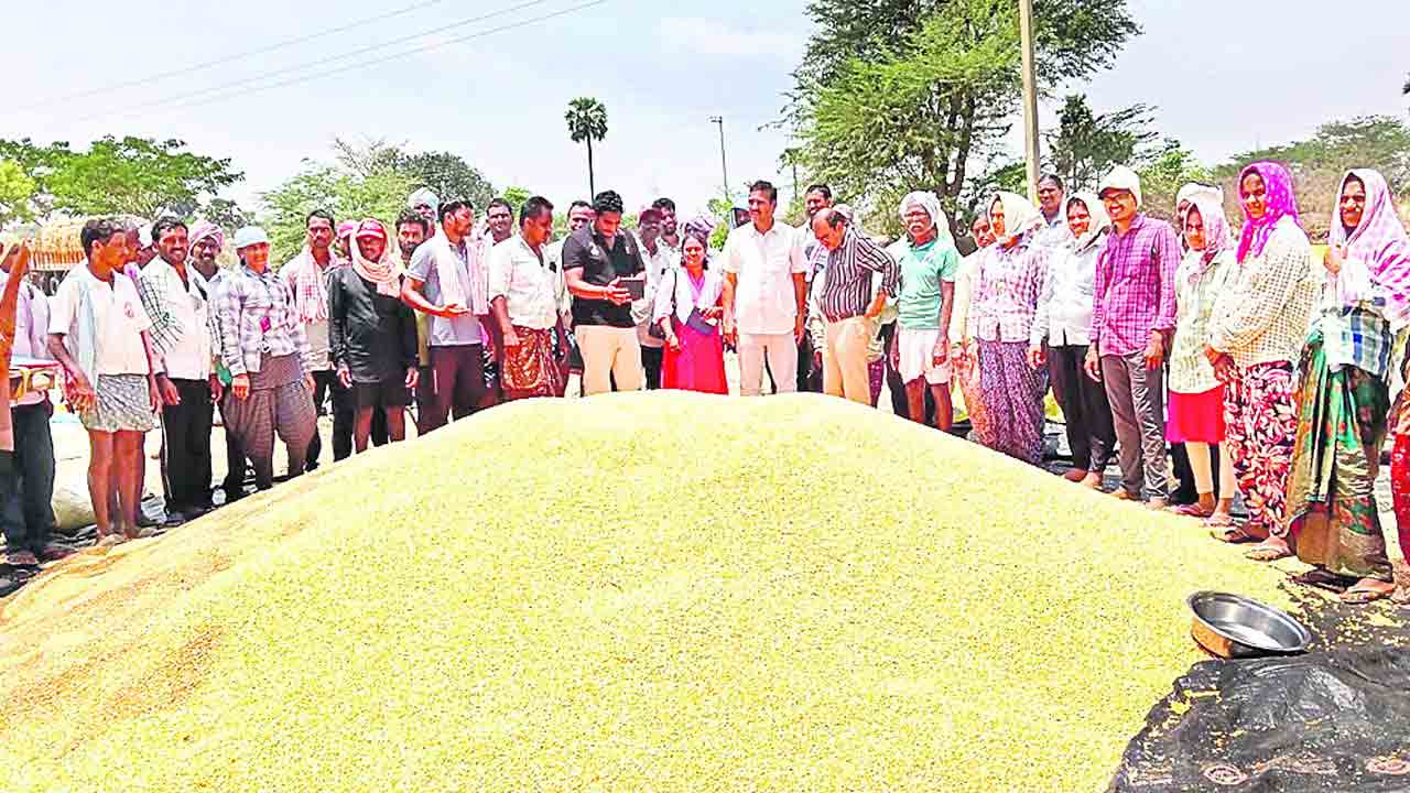 28 క్వింటాళ్లే కొంటాం !