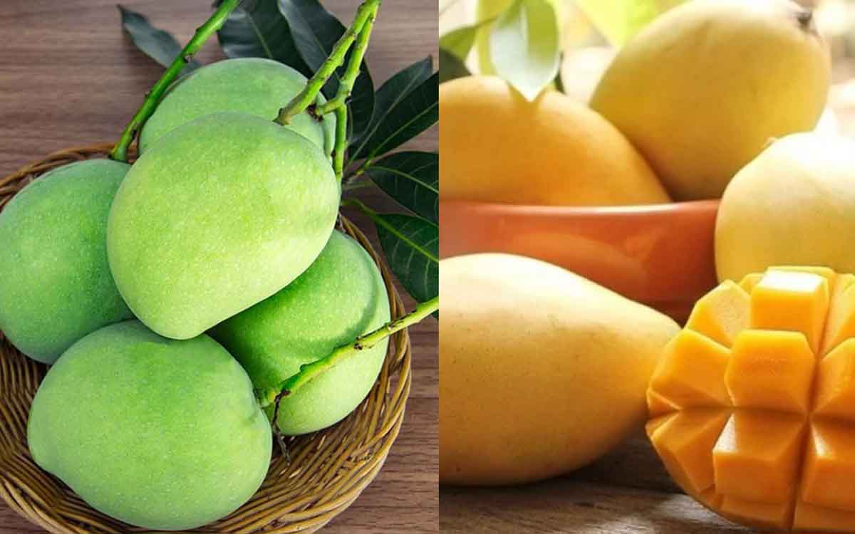 Mango | ప‌చ్చి మామిడి వ‌ర్సెస్ మామిడి పండు.. ఏయే ప‌దార్థాల త‌యారీకి వేటిని వాడాలి..