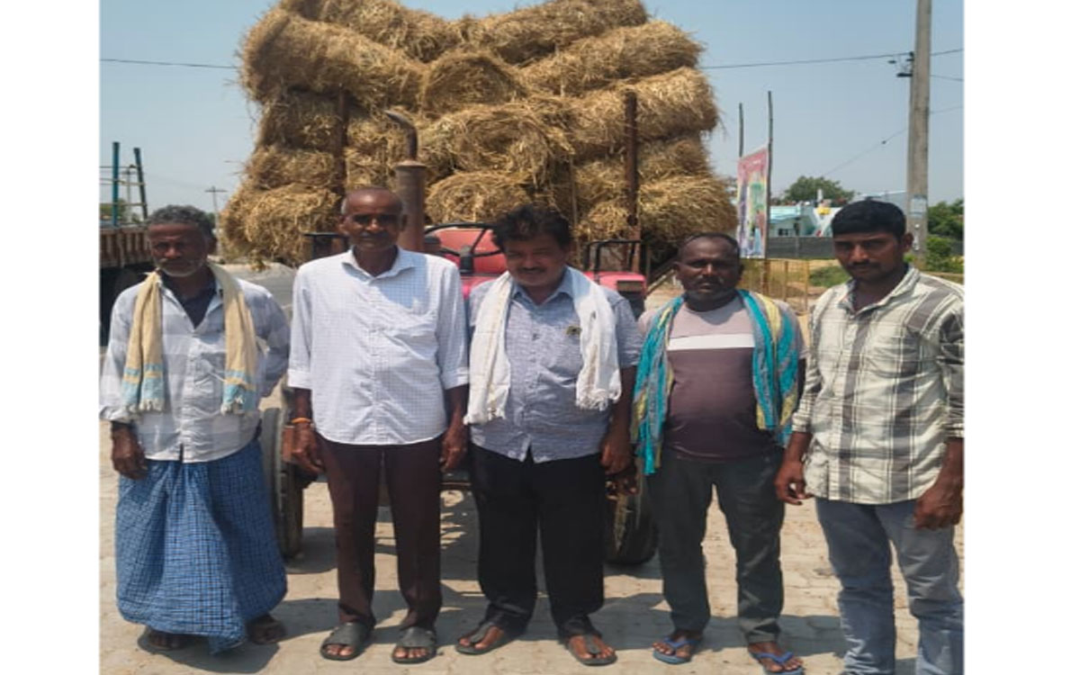 గోమాతలకు గ్రాసం పంపిణీ