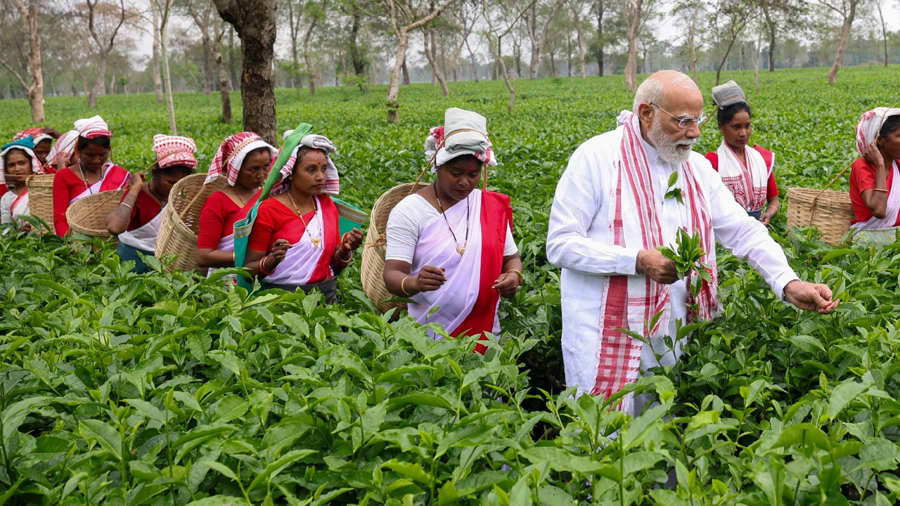 PM Modi: అస్సాం మ‌హిళ‌ల‌తో క‌లిసి తేయాకు తెంపిన ప్ర‌ధాని మోదీ