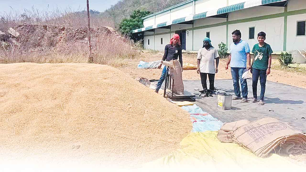 దొడ్డు రకం కొనుగోళ్లు షురూ!