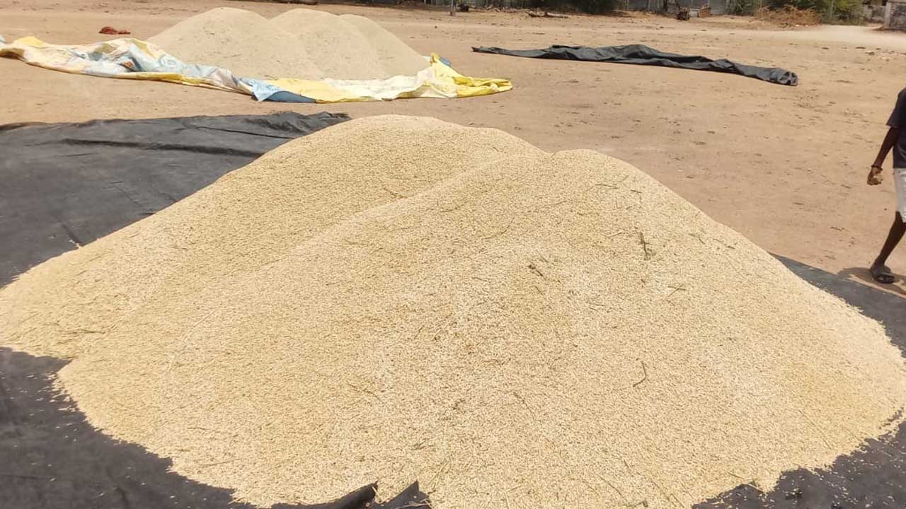 కొనుగోల!