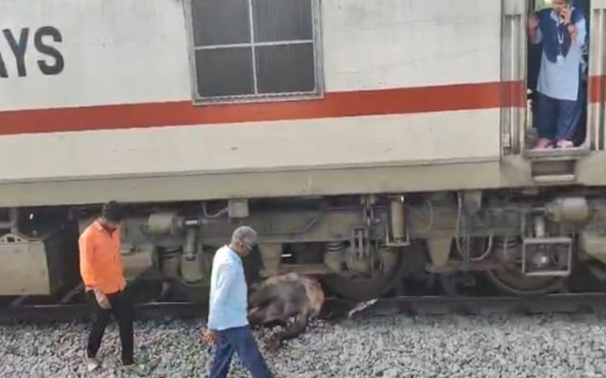 బ‌ర్రెను ఢీకొట్టి నిలిచిన పల్నాడు సూపర్ ఫాస్ట్ రైలు