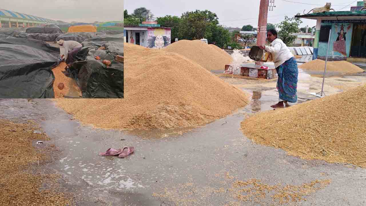 Rain Damage | నాగర్ కర్నూలు జిల్లాలో గాలివాన బీభత్సం.. తడిసిముద్దైన వడ్లు, మొక్కజొన్న..!