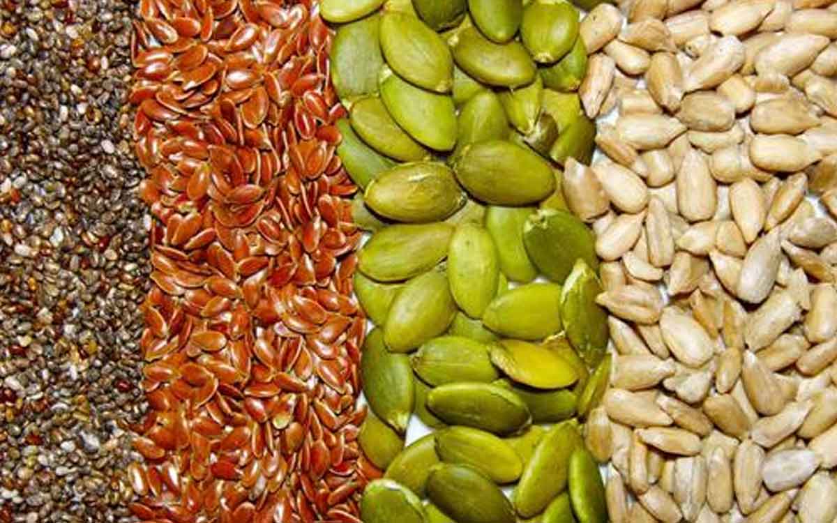 Seeds | రోజువారీ ఆహారంలో ఈ గింజ‌ల‌ను చేర్చుకుంటే ఎన్నో లాభాలు.. చాలా మందికి వీటి గురించి తెలియ‌దు..