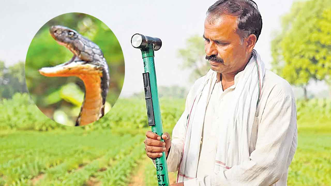 పామును పసిగట్టే పరికరం!