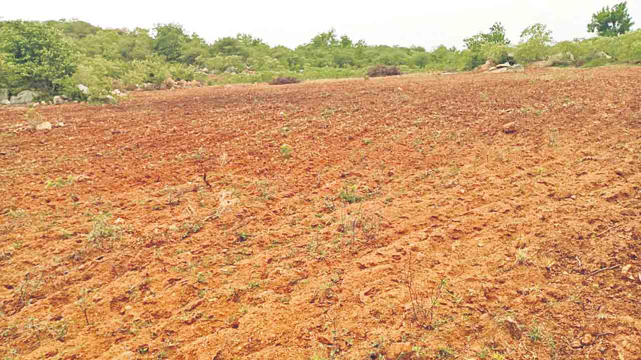 గిరిజనుల భూములపై.. కాంగ్రెస్‌ కత్తి