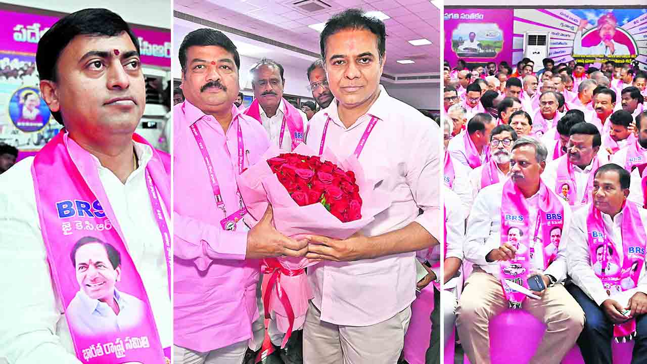 ఎగిరిన గులాబీ జెండా