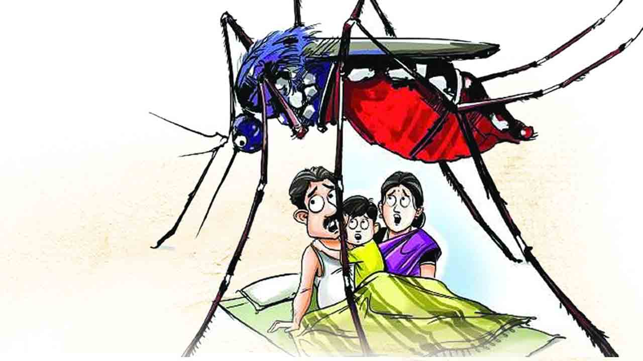 వామ్మో.. దోమలు