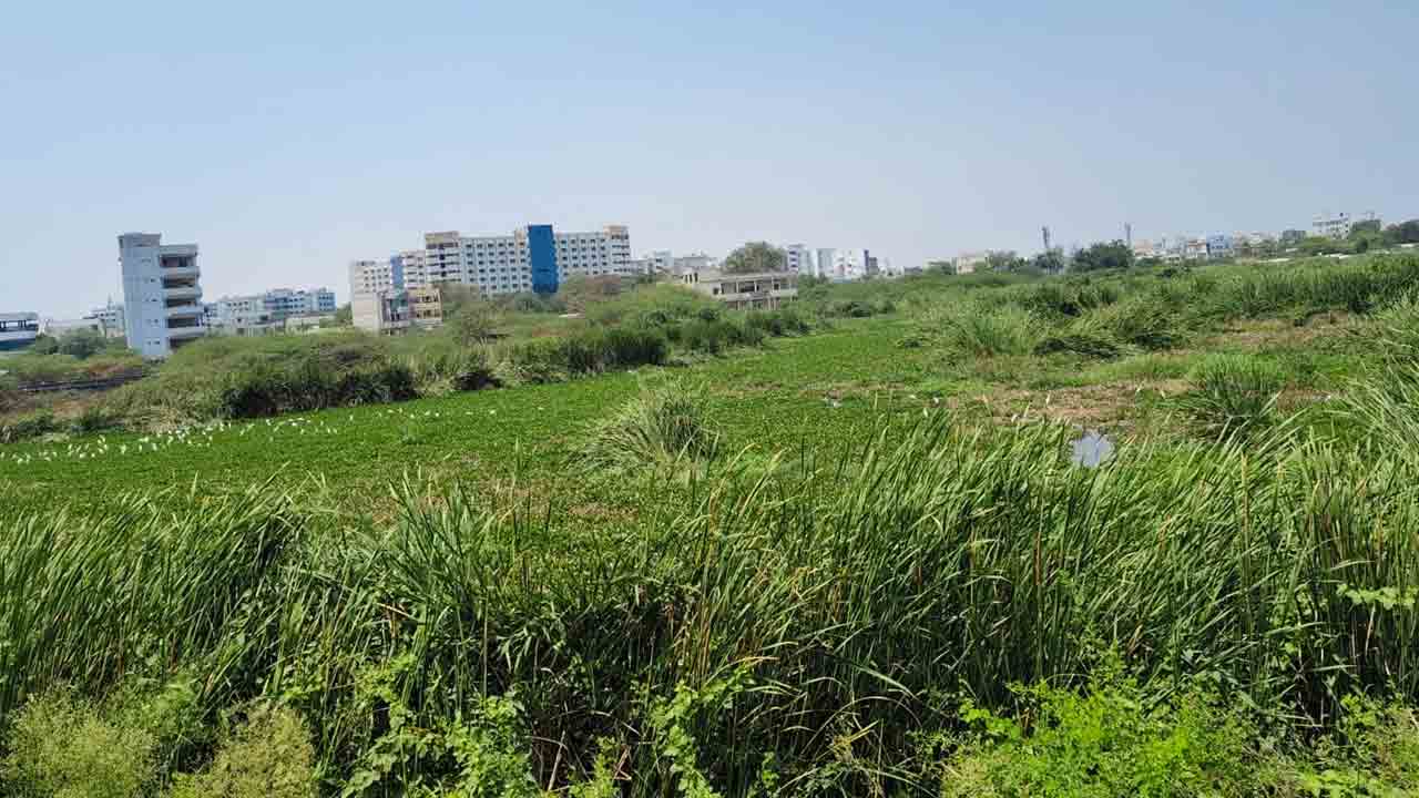 New Shayampet | కాలుష్య కోరల్లో చెరవులు..పట్టించుకోని అధికారులు