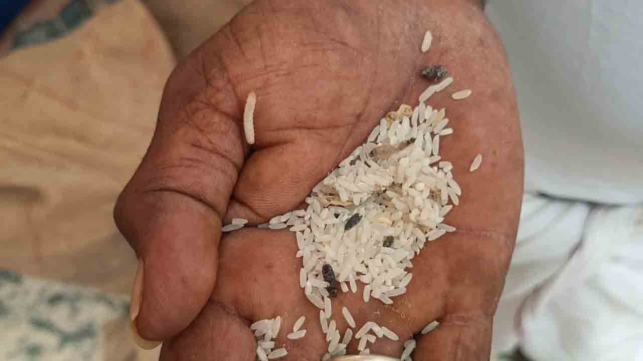రేషన్‌ బియ్యంలో పురుగులు