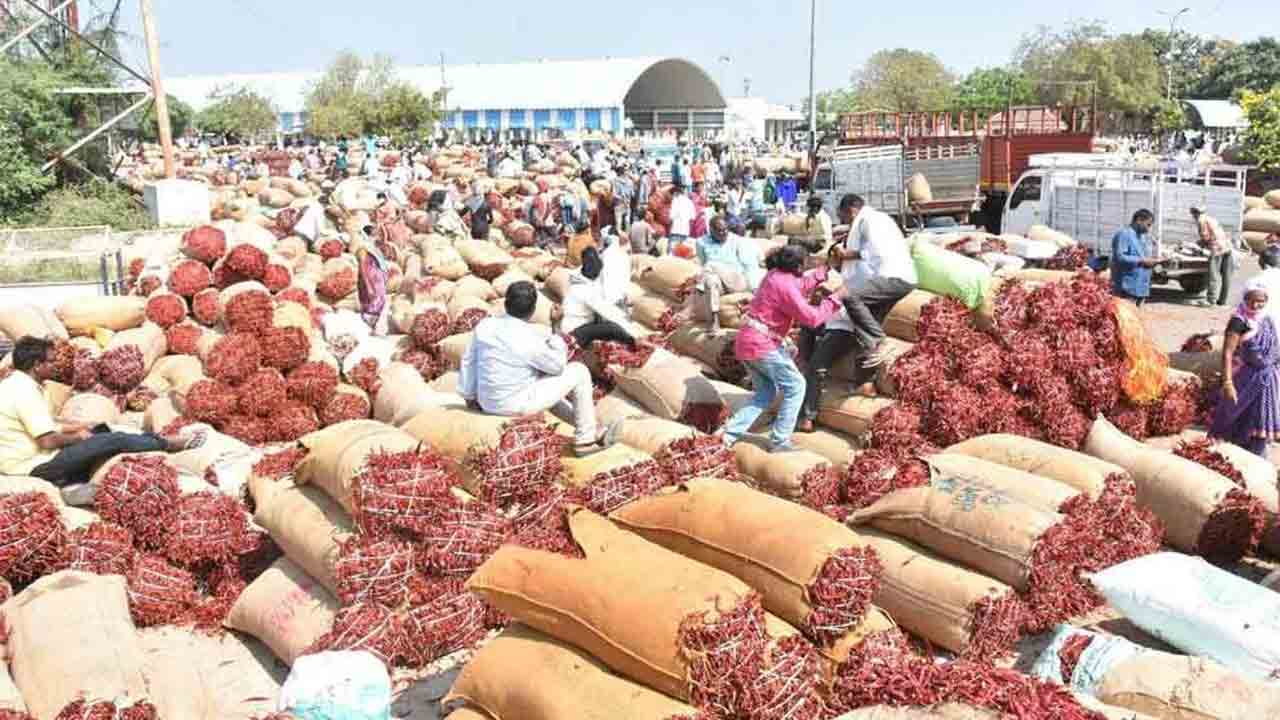 మార్కెట్లో మరో మిర్చి వ్యాపారి టోకరా!