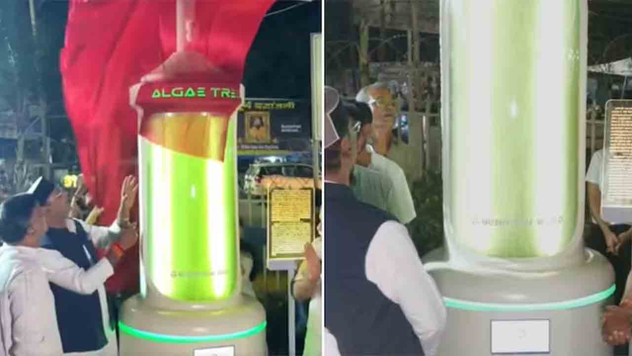 25 చెట్లతో సమానం..‘ఆల్గే ట్రీ’