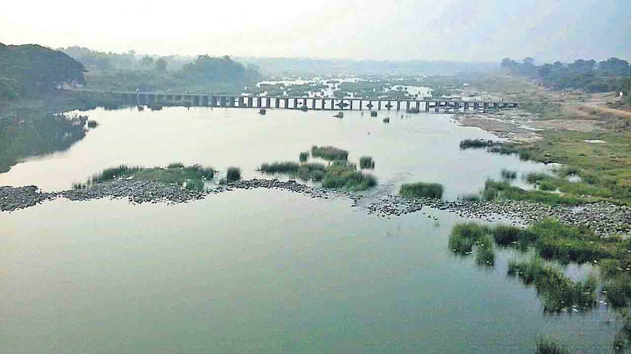 తమ్మిడిహట్టికి ప్రత్యామ్నాయాలపై అధ్యయనం చేయాలి