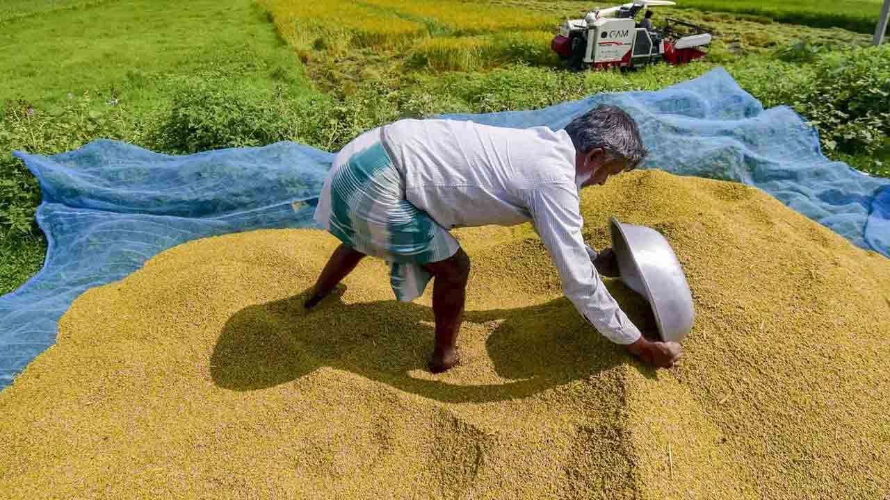 Support Prices | వరికి మద్దతు రూ.72 పెంపు.. వానకాలం పంటలకు మద్దతు ధరలను ప్రకటించిన కేంద్రం