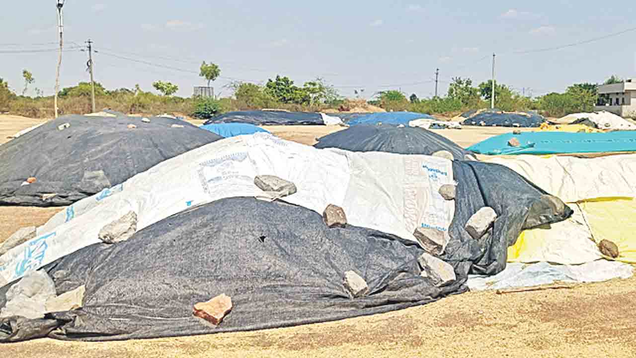 ధాన్యం కొనుగోళ్లలో ఫెయిల్‌.. యాదాద్రి భువనగిరి జిల్లాలో వడ్ల సేకరణలోఅధికారుల అలసత్వం, నిర్లక్ష్యం