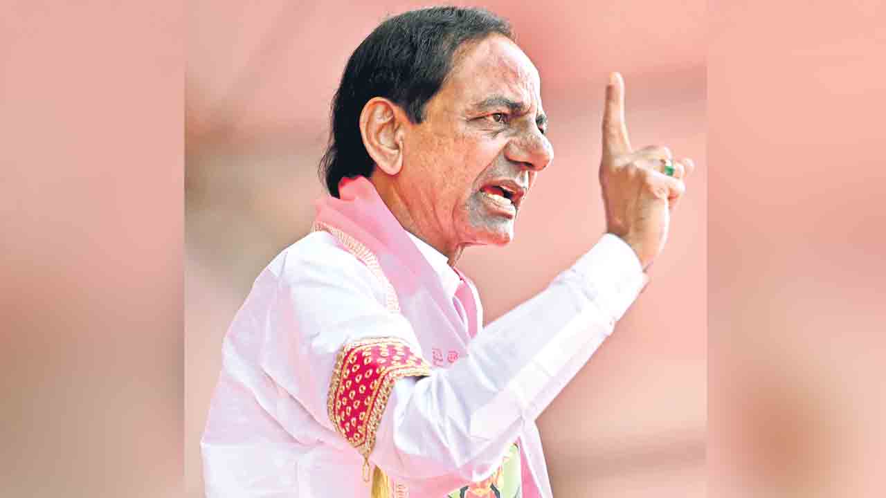 కేసీఆర్‌ సార్‌.. మీరే దిక్కు.. పొద్దుతిరుగుడు పంటను కొంటలేరు.. దళారులకు అమ్మి నష్టపోతున్నం