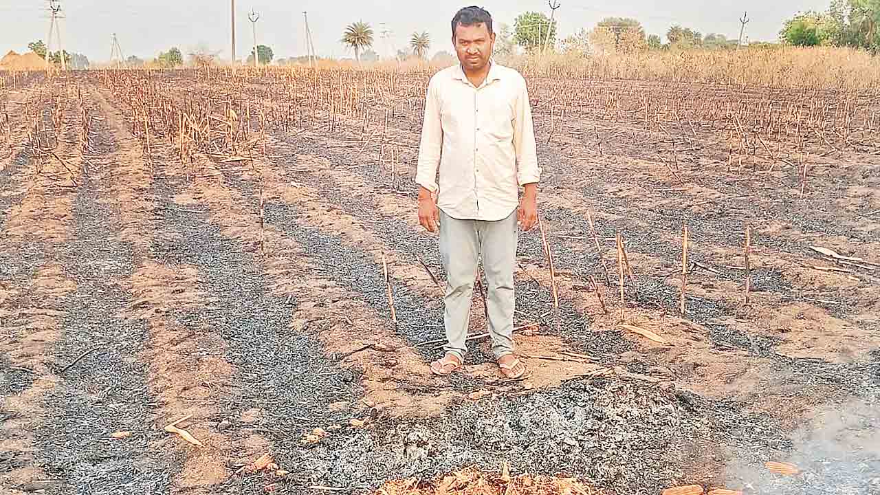 పంట పొలాల్లో మంటలు.. కాలిబూడిదైన మక్కలు, వడ్లు, పైపులు, మోటర్లు