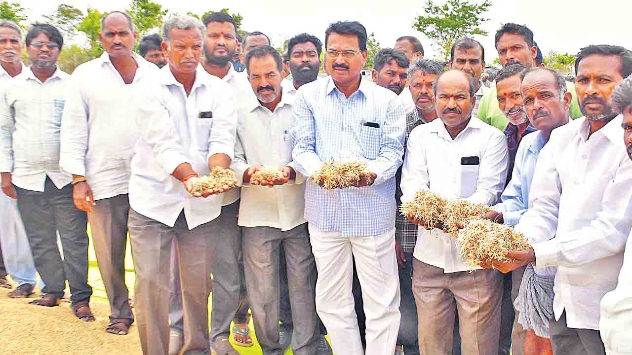 తడిసిన ధాన్యాన్ని కొనాల్సిందే