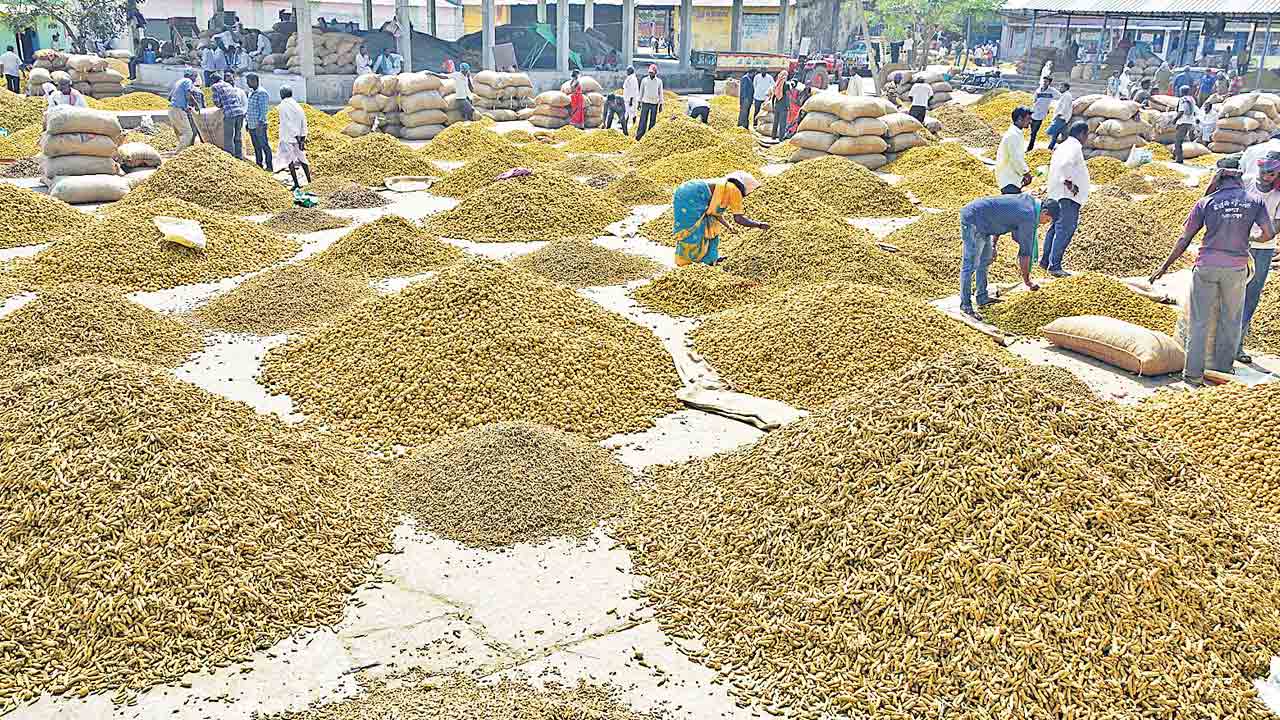 మట్టి (కొట్టుకుపోయిన) మనిషి!