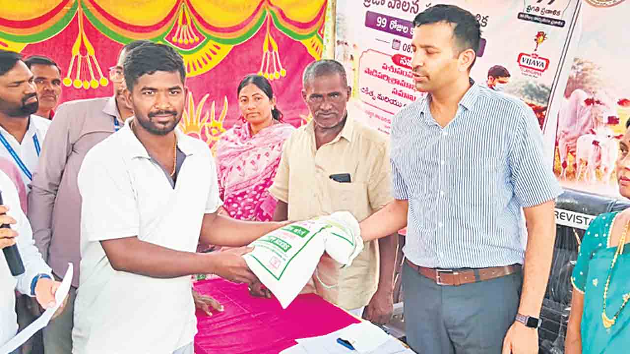 పశుసంపద పెంపుపై దృష్టి సారించాలి