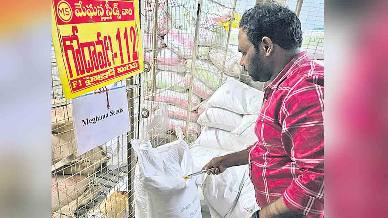 విత్తన అక్రమ నిల్వలపై కేసులు