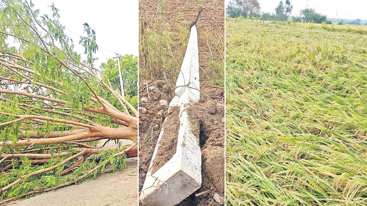 గాలివాన బీభత్సం