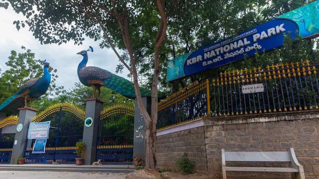 పర్యావరణ విధ్వంసం ఆపండి!