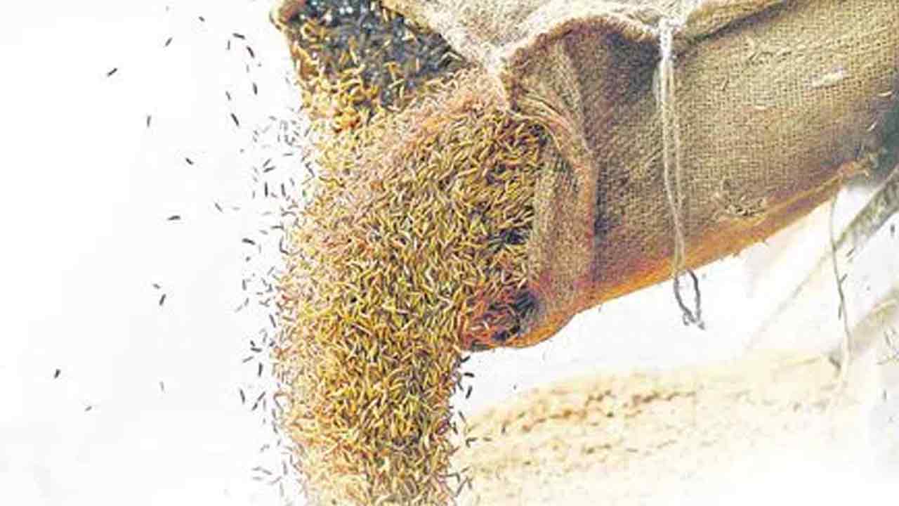 సన్నాలంటే ఎనిమిది రకాలే!