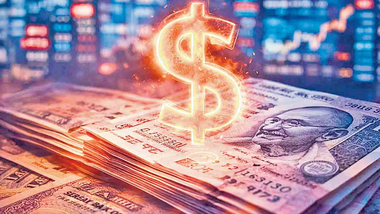 డాలర్ల కోసం అన్వేషణ!