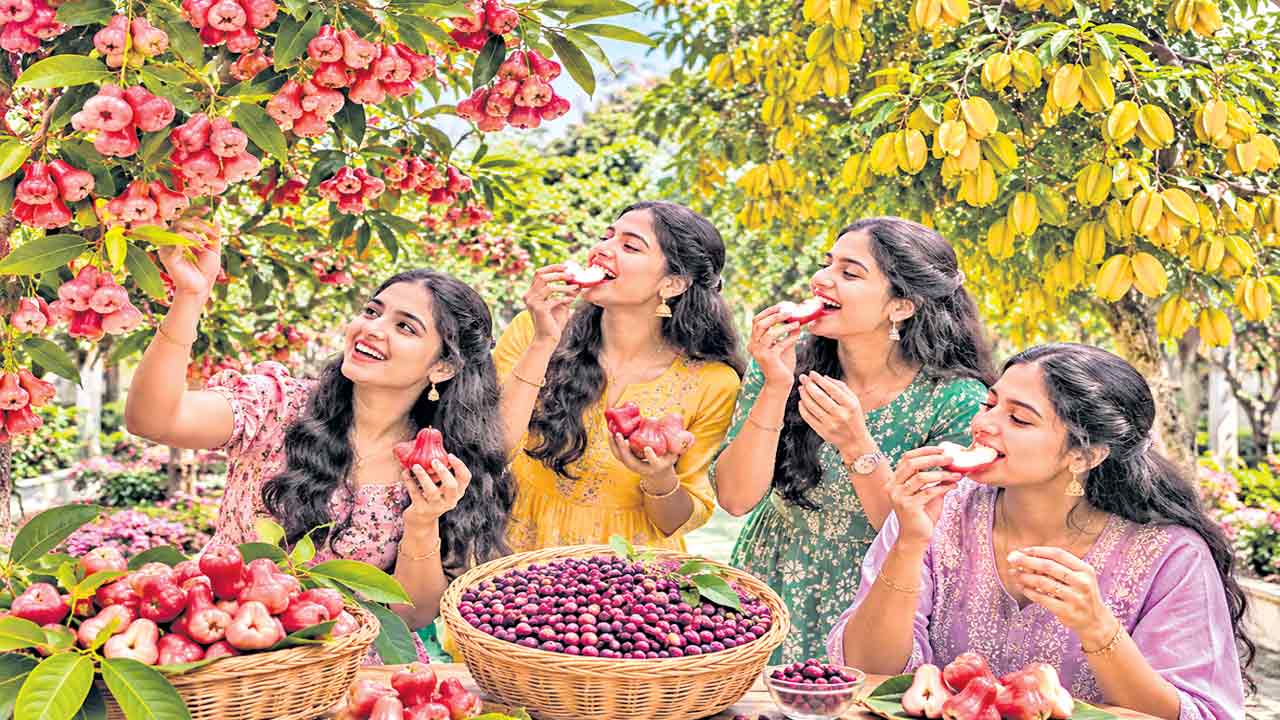 మండు వేసవిలో… చల్లని పండు!