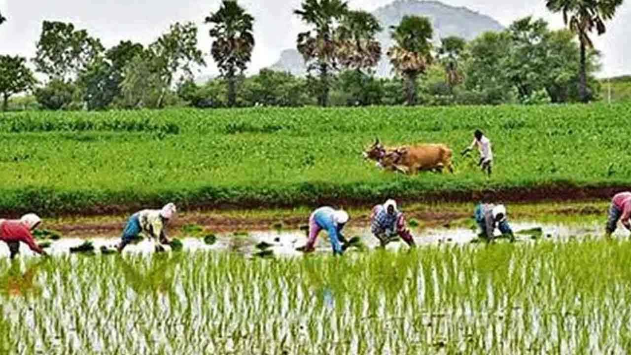అప్పు ఉంటే బ్యాంకు ఖాతా హోల్డ్‌!