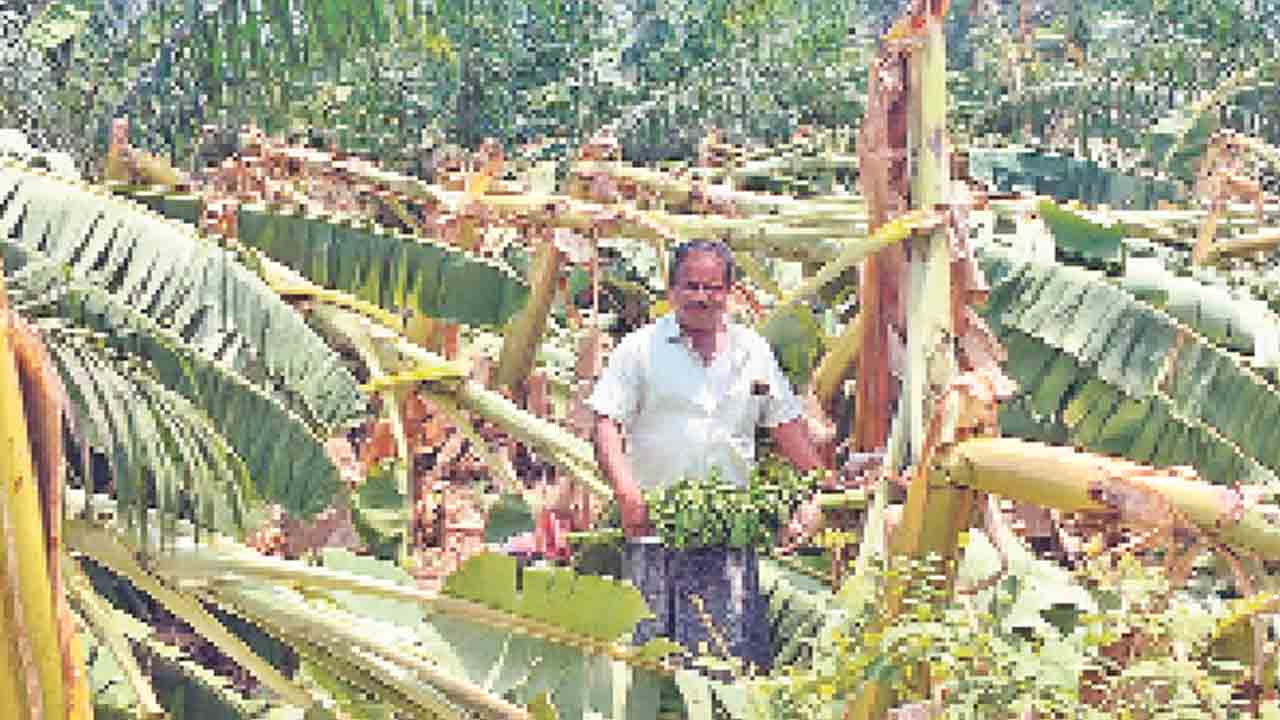 ఈదురుగాలుల వర్షం