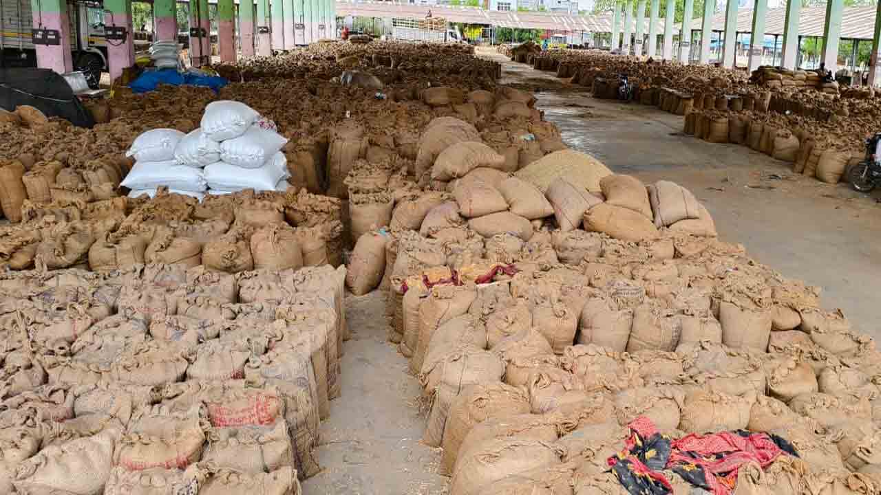 మక్కలు తిప్పలు