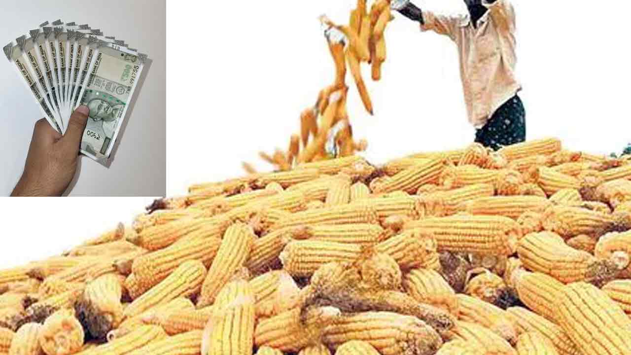మక్కల పైసలు ఇచ్చేదెప్పుడు?