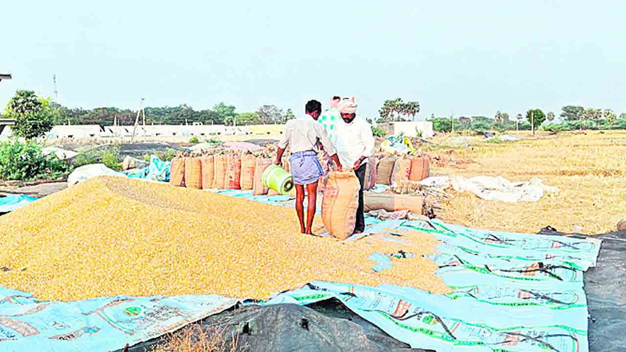 తీరని వ్యథ.. తీర్చేదెవరు?