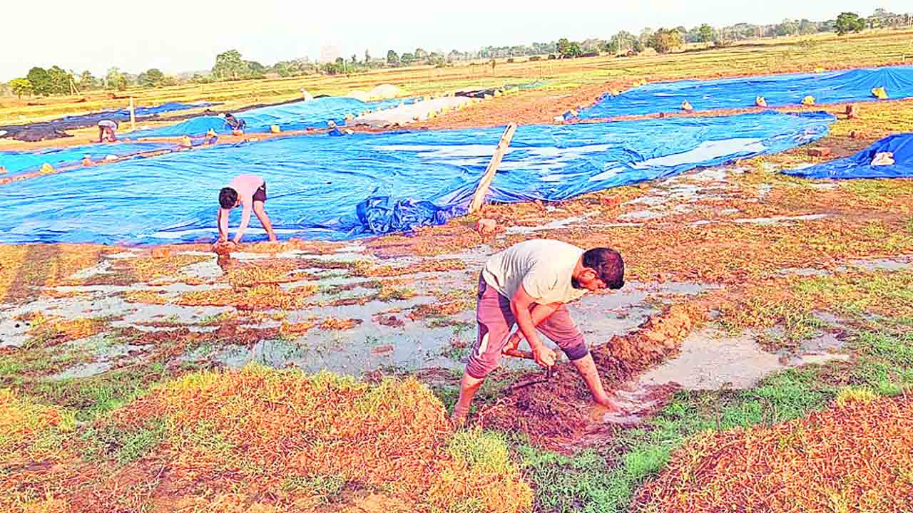 అన్నదాత గుండెకోత!