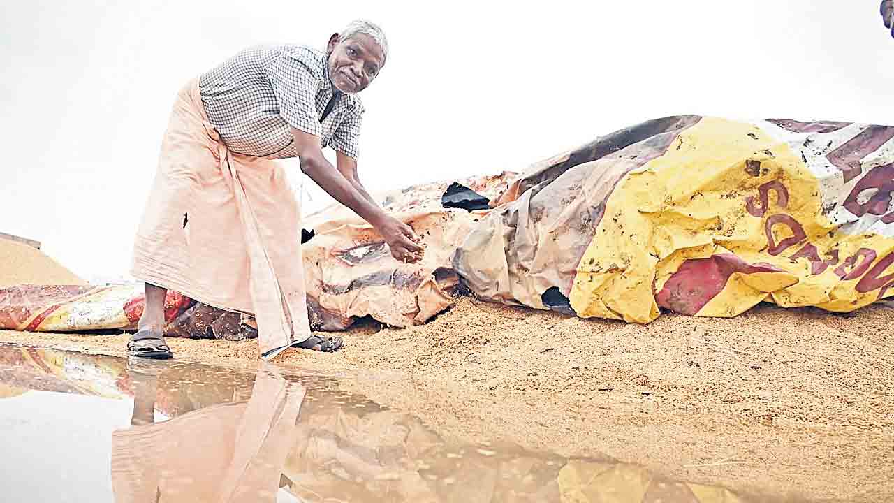 అకాల వర్షం.. పంటలకు నష్టం