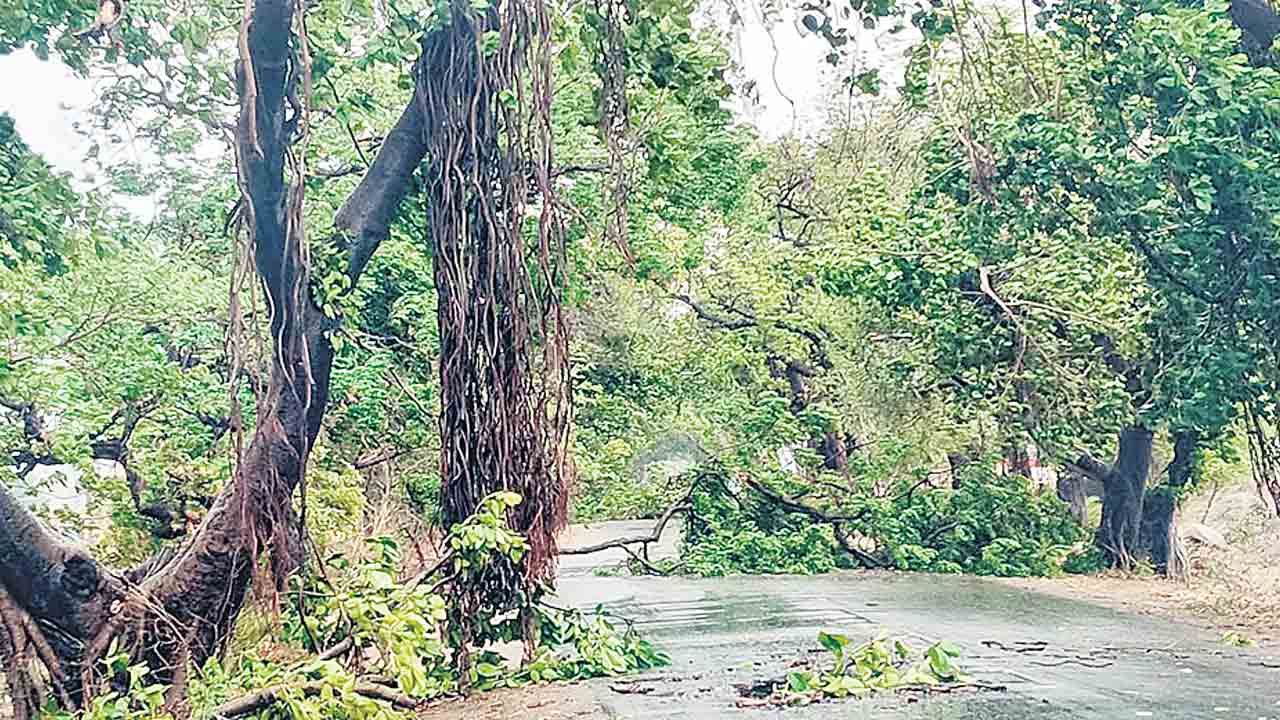ఎల్లారెడ్డిలో గాలీదుమారం