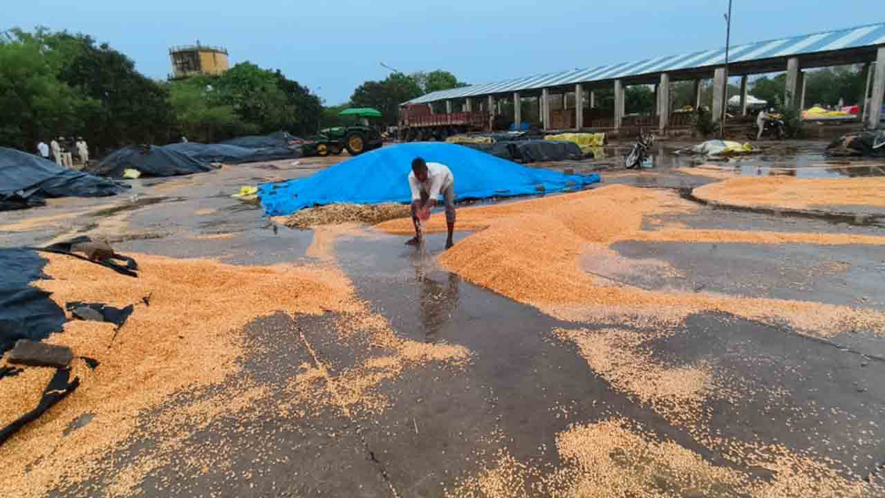 అకాల వర్షం అతలాకుతలం