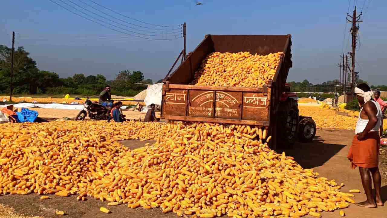 మక్క కొనుగోళ్లు బంద్‌.. రైతుల కన్నెర్ర