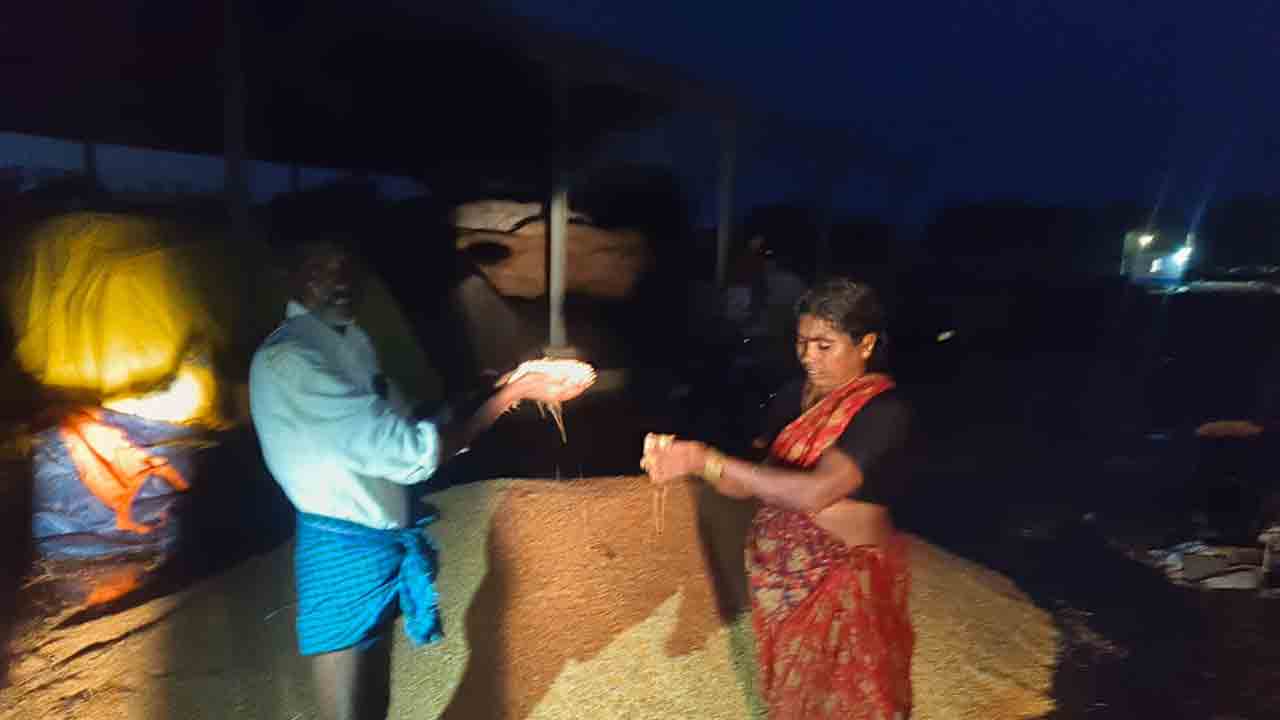 మక్క రైతు తిప్పలు