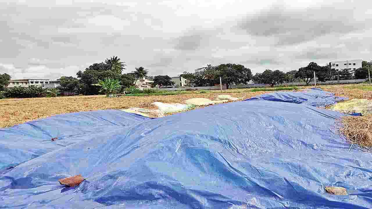 బంగాళాఖాతంలో అల్పపీడనం..అన్నదాతల్లో ఆందోళన