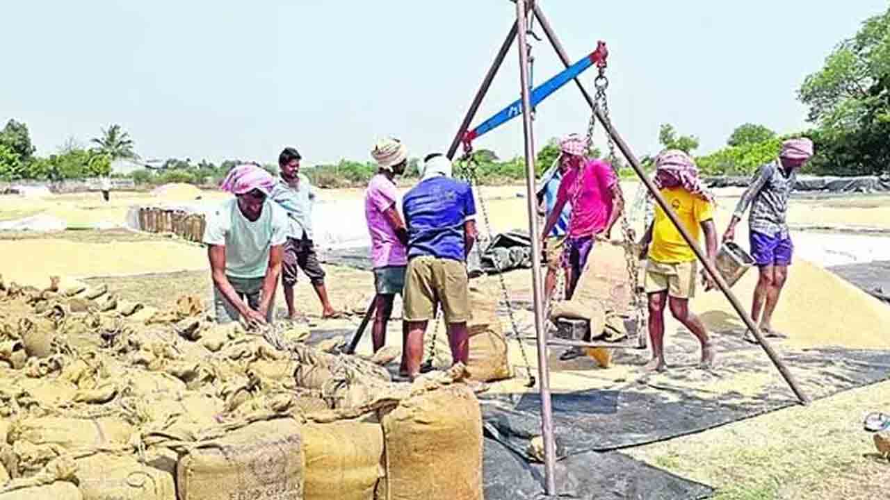 10.2 లక్షల టన్నుల ధాన్యం కొనుగోలు