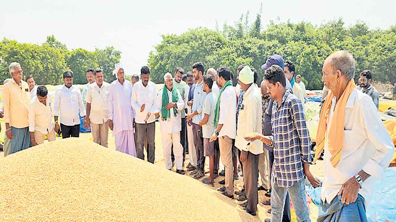 మక్కల కొనుగోలులో ప్రభుత్వం విఫలం