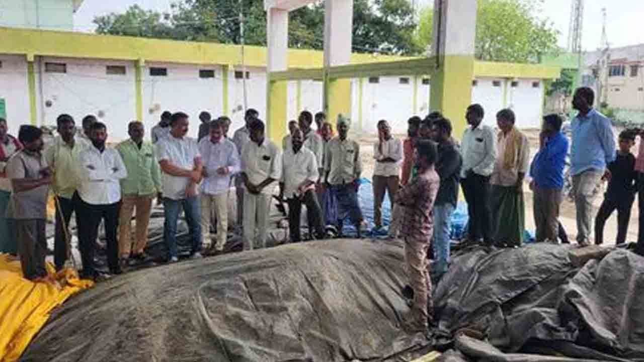 అమ్ముకునేందుకూ అరిగోసే