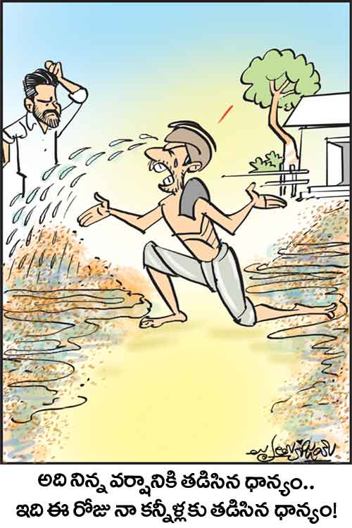 డైలీ కార్టూన్ 29-05-2026