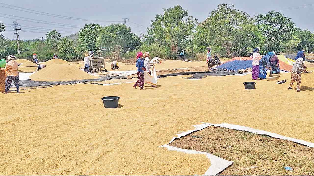 దళారులకే ధాన్యం
