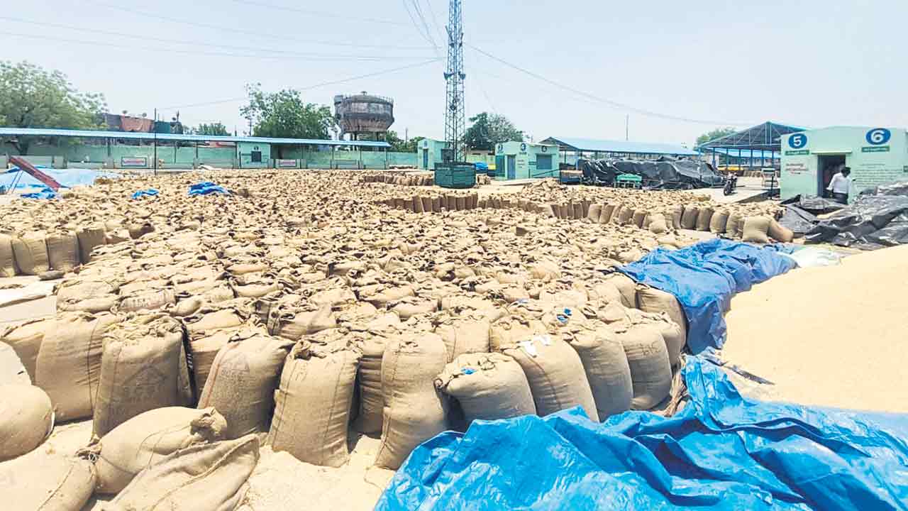 జొన్నల కొనుగోళ్లకు బ్రేక్